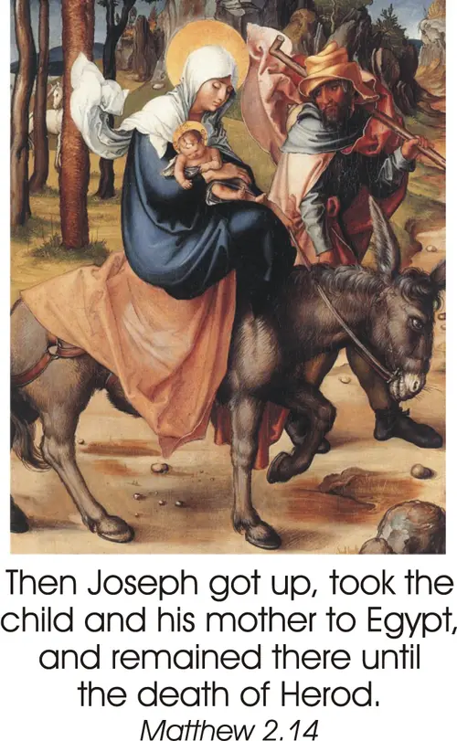 Year C Advent Fourth Sunday