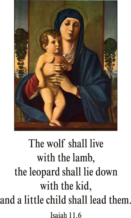 Year A Advent Second Sunday