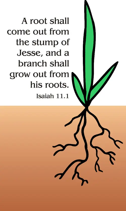 Year A Advent Second Sunday