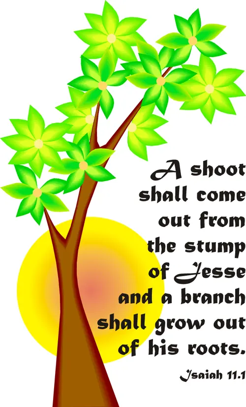 Year A Advent Second Sunday