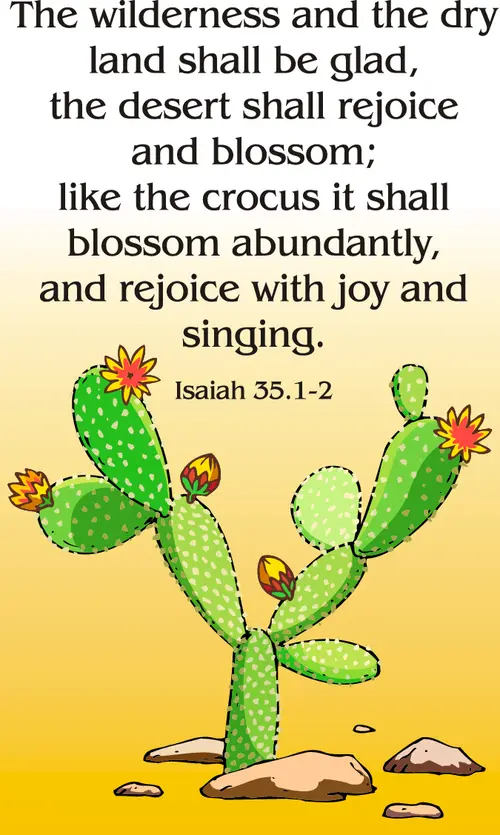 Year A Advent Third Sunday
