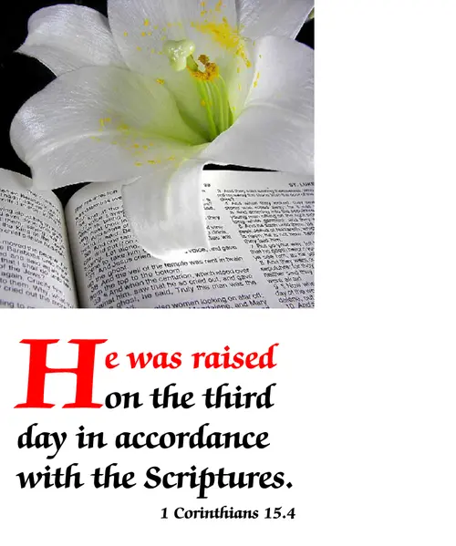 Easter B