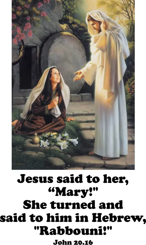 EasterC6go