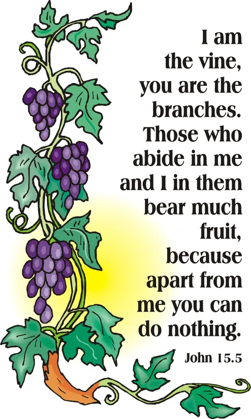 Year B Easter Fifth Sunday