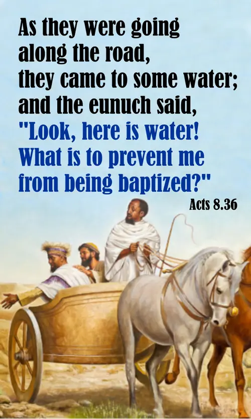 EasterFifthB7acts