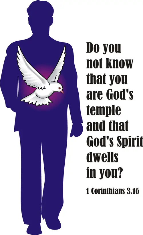 Year A Epiphany Seventh Sunday