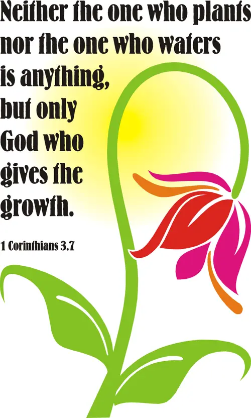 Year A Epiphany Sixth Sunday