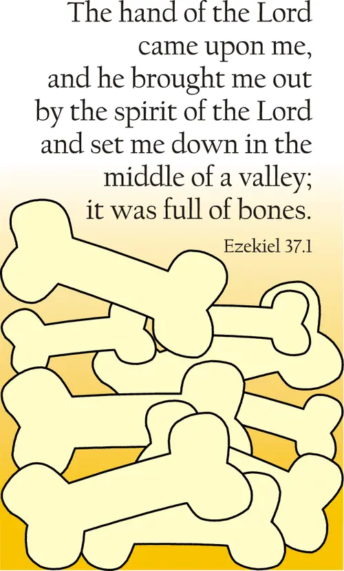 Year A Lent Fifth Sunday