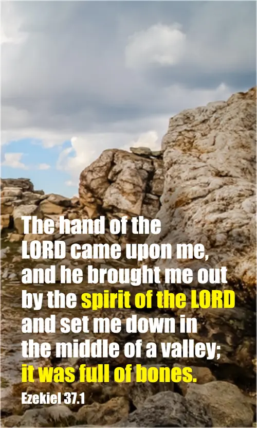 Year A Lent Fifth Sunday