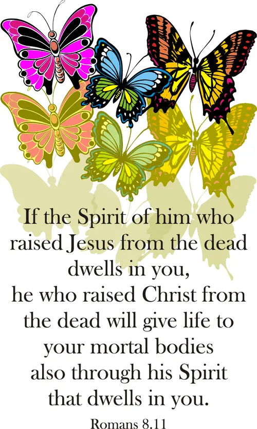 Year A Lent Fifth Sunday