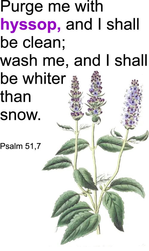 Lent Fifth ps