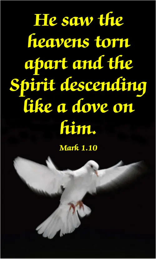 Year B Lent First Sunday