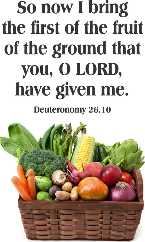 LentFirstC8ot