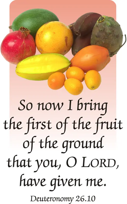 Year C Lent First Sunday
