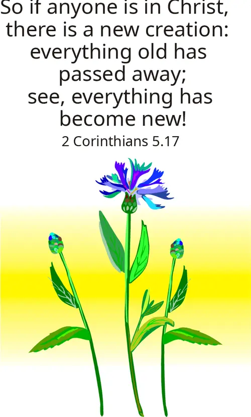 Year C Lent Fourth Sunday