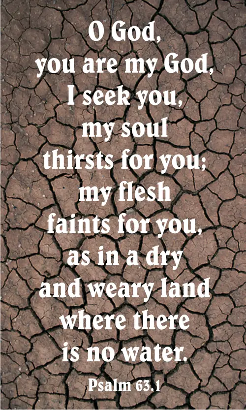 Year C Lent Third Sunday