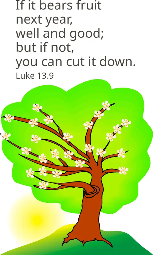 Year C Lent Third Sunday