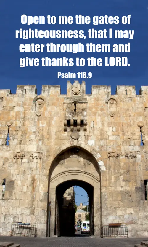 Palm Sunday B6