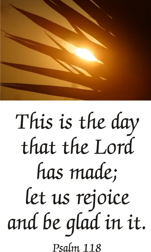 Year C Lent Palm/Passion Sunday