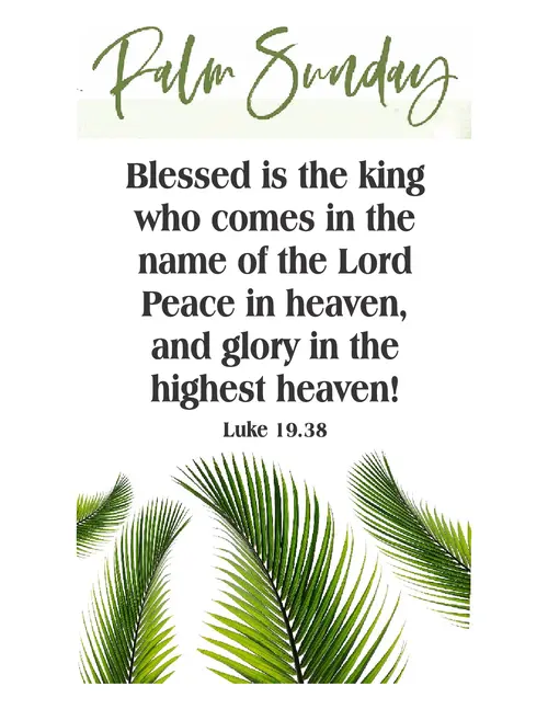 PalmSundayC7go