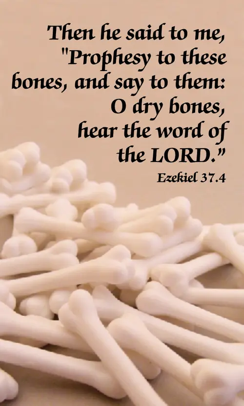 PentecostB6ot