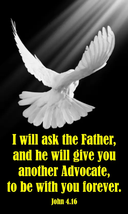 PentecostC6go