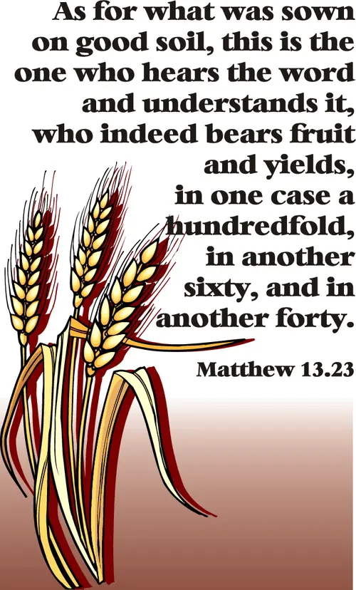Year A After Pentecost Proper 10