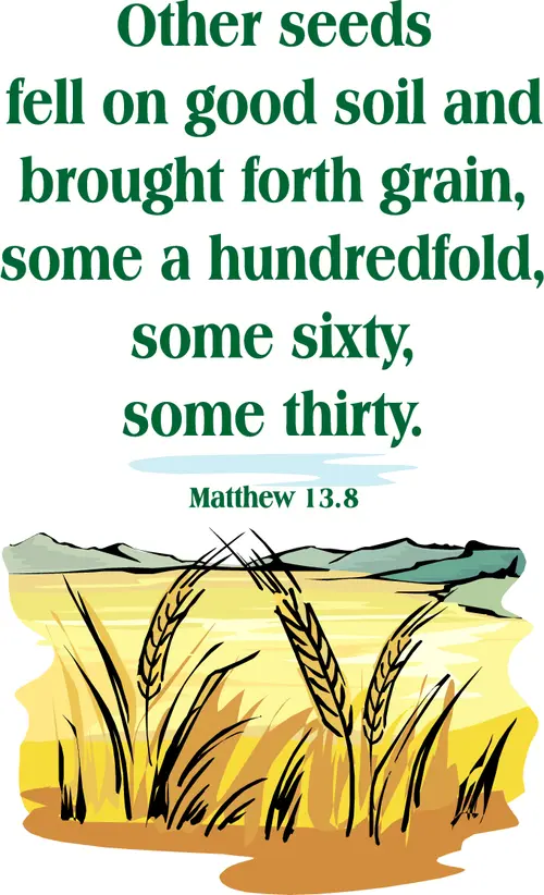 Year A After Pentecost Proper 10