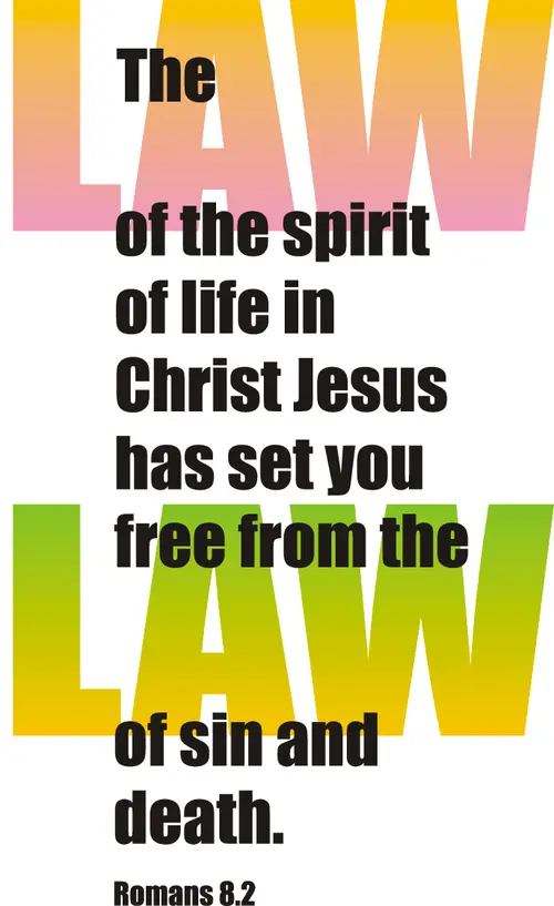 Year A After Pentecost Proper 10