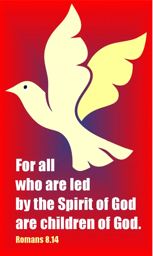 Year A After Pentecost Proper 11