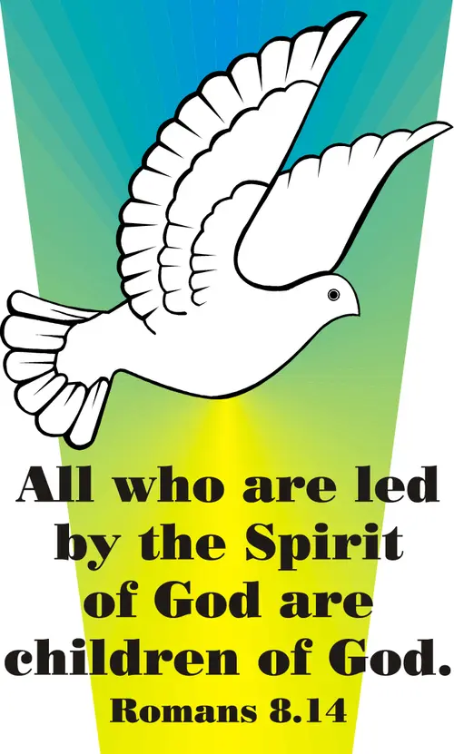 Year A After Pentecost Proper 11