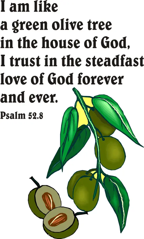 Year C After Pentecost Proper 11