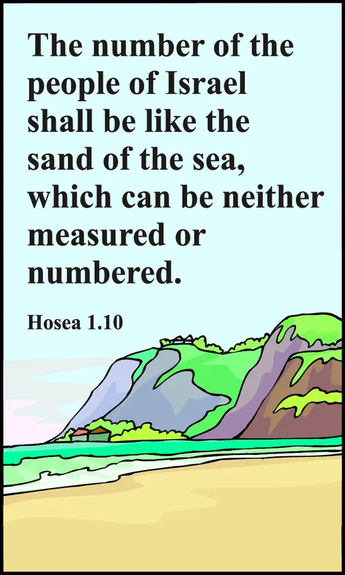 Year C After Pentecost Proper 12