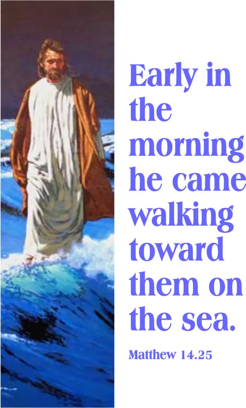 Year A After Pentecost Proper 14
