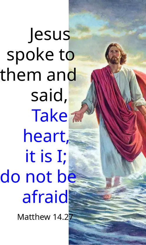 Year A After Pentecost Proper 14