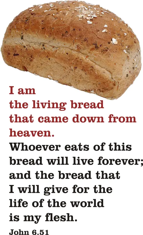 Year B After Pentecost Proper 14