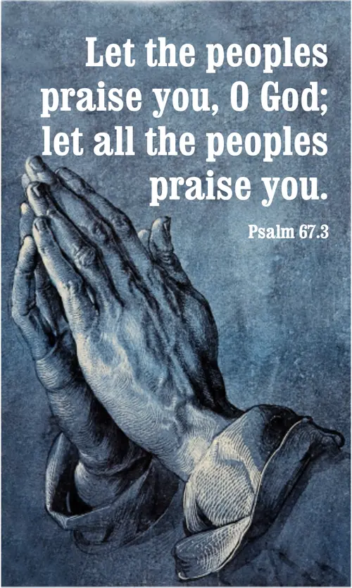 Year A After Pentecost Proper 15
