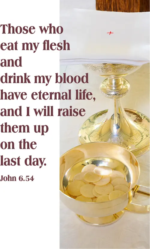 Year B After Pentecost Proper 15
