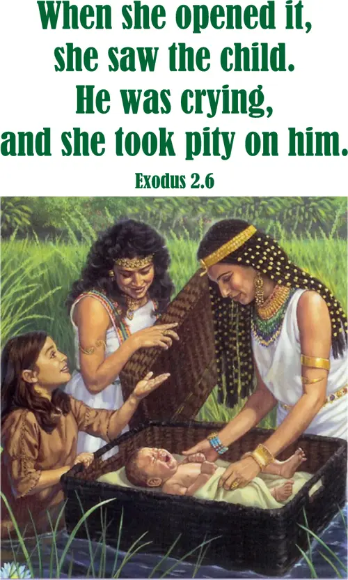 Year A After Pentecost Proper 16
