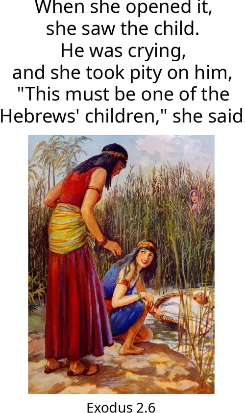 Year A After Pentecost Proper 16
