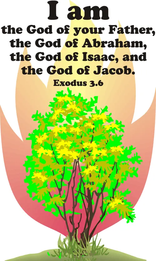 Year A After Pentecost Proper 17
