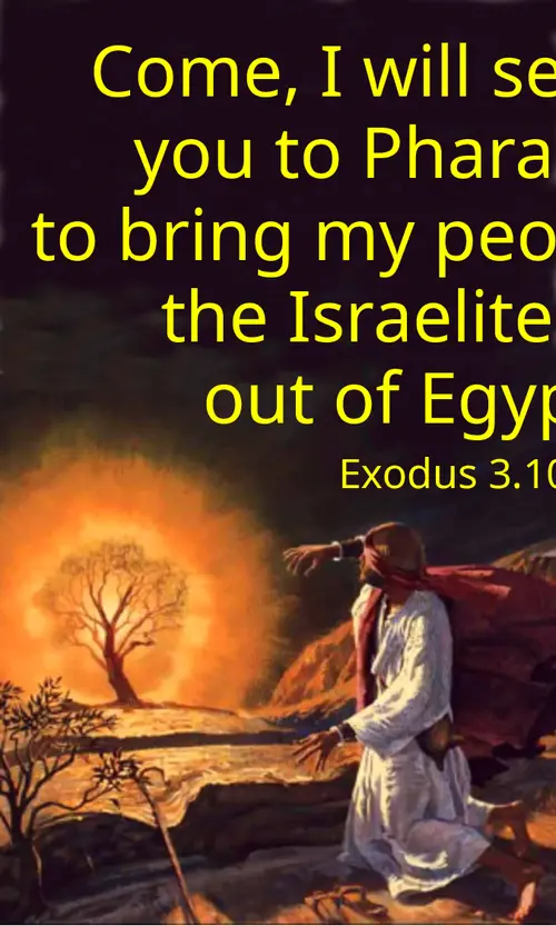 Year A After Pentecost Proper 17