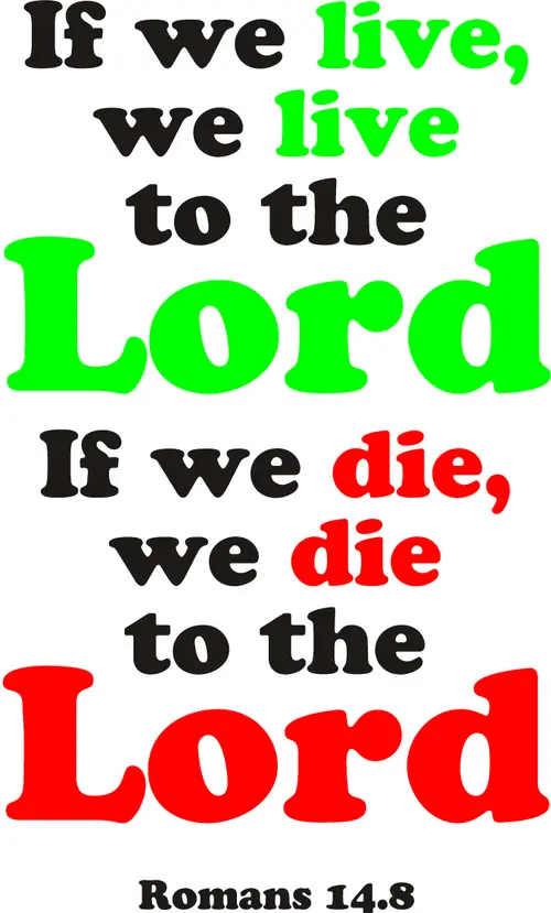 Year A After Pentecost Proper 19