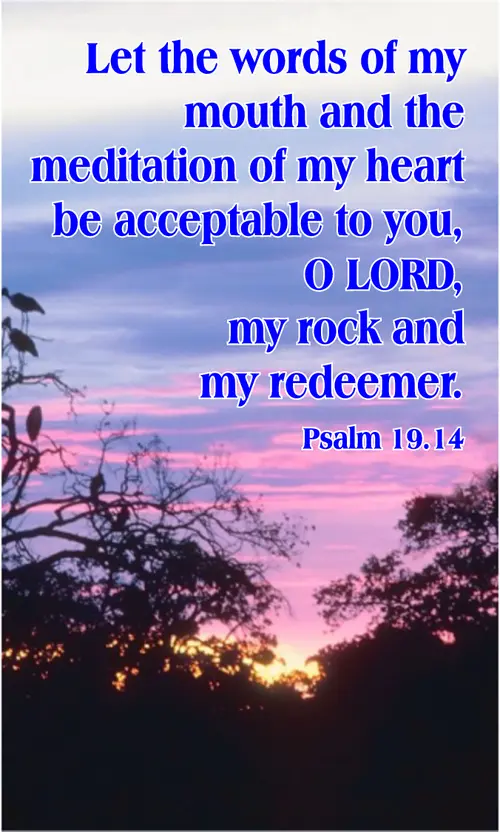Year B After Pentecost Proper 19