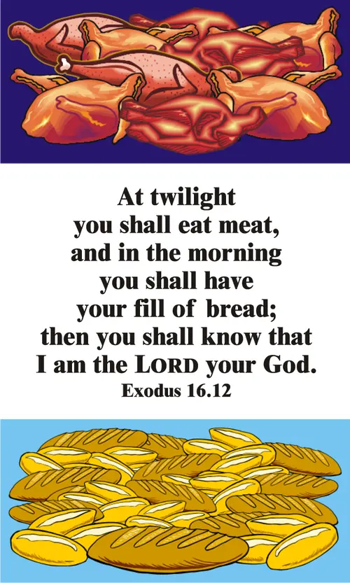 Year A After Pentecost Proper 20