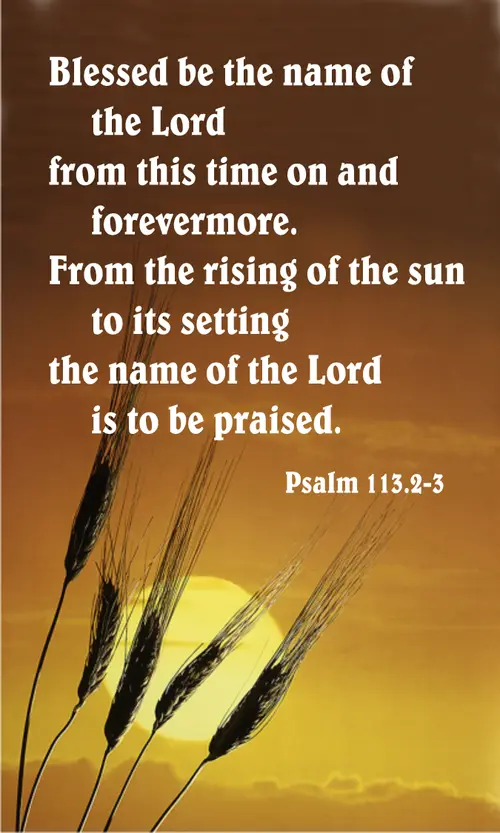 Year C After Pentecost Proper 20