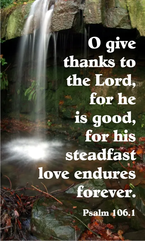 Year A After Pentecost Proper 23