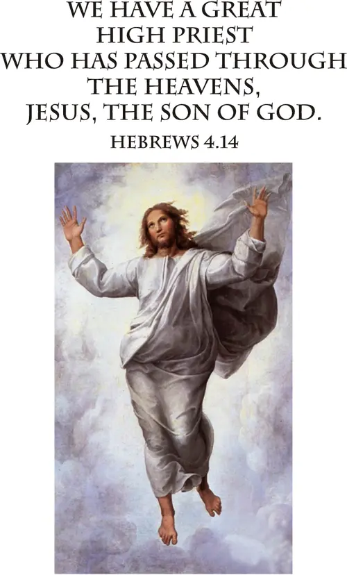 Year B After Pentecost Proper 23