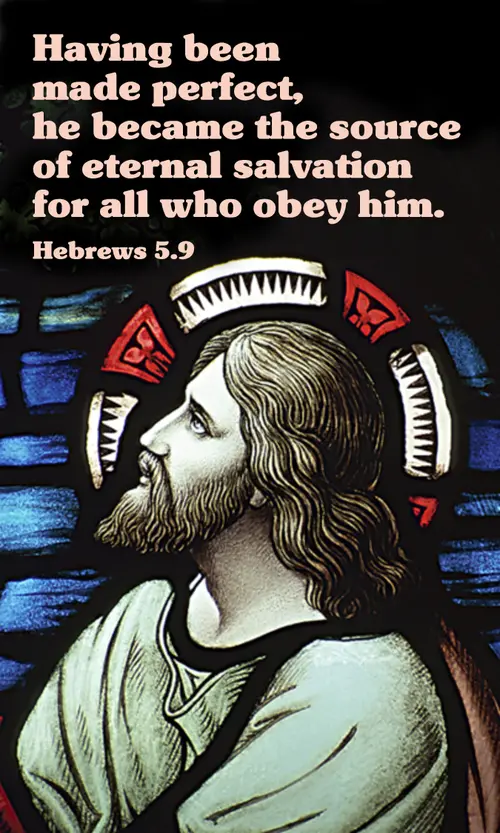 Year B After Pentecost Proper 24