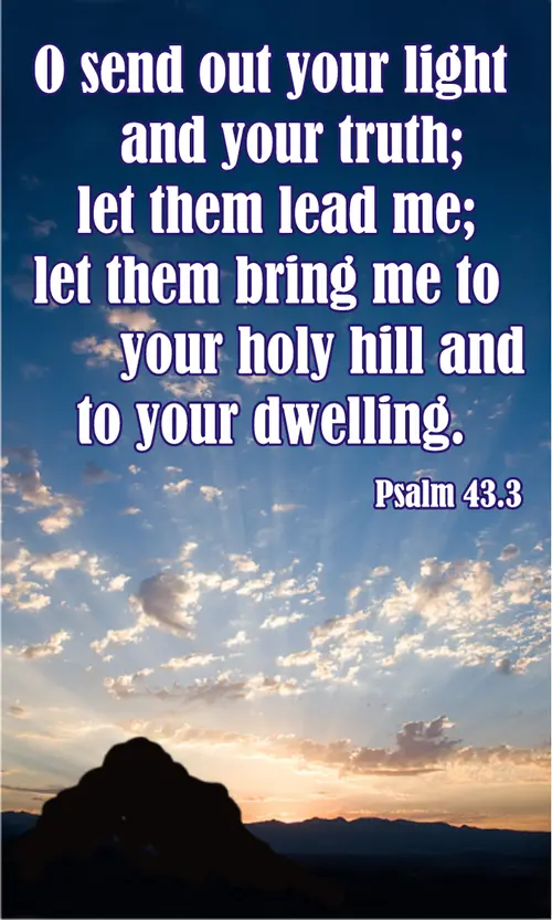 Year A After Pentecost Proper 26